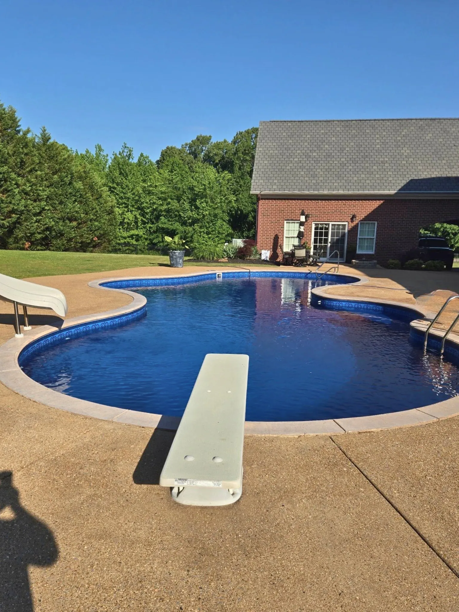 Beautiful freeform inground pool with a wooded backdrop